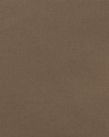 Cotton Duck   #9221