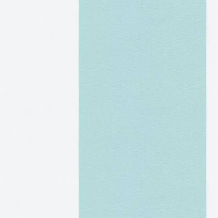 #143 Wide Stripe Balloon Shade  Movable