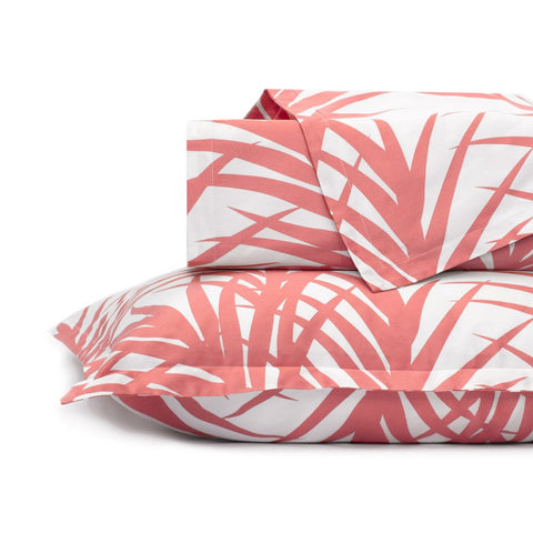 #C2d Laguna Coral  SHAMS