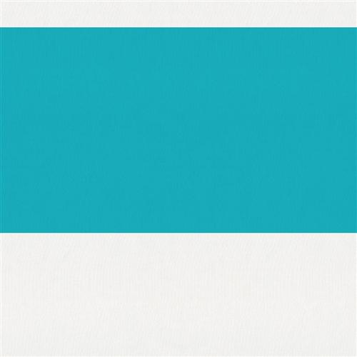 #143 Wide Stripe Balloon Shade  Movable